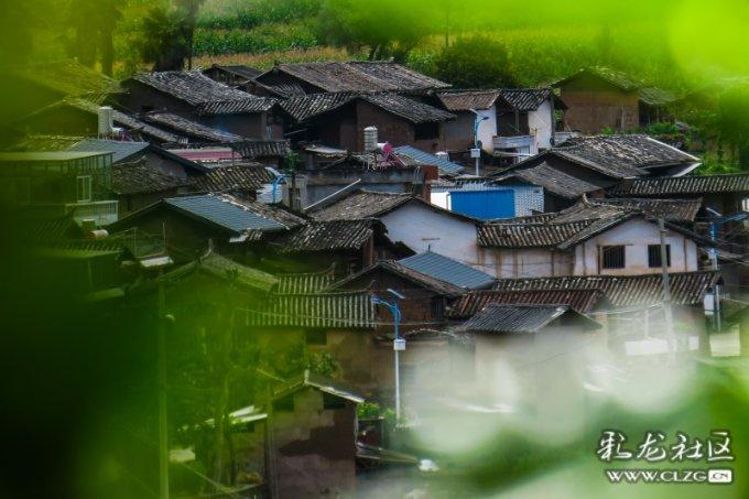 新手小白看过来:新日教你如何挑选电动车
